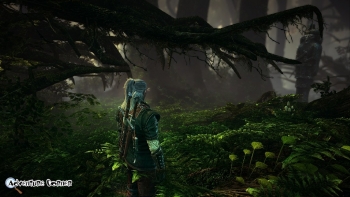 The Witcher 2 Screenshot